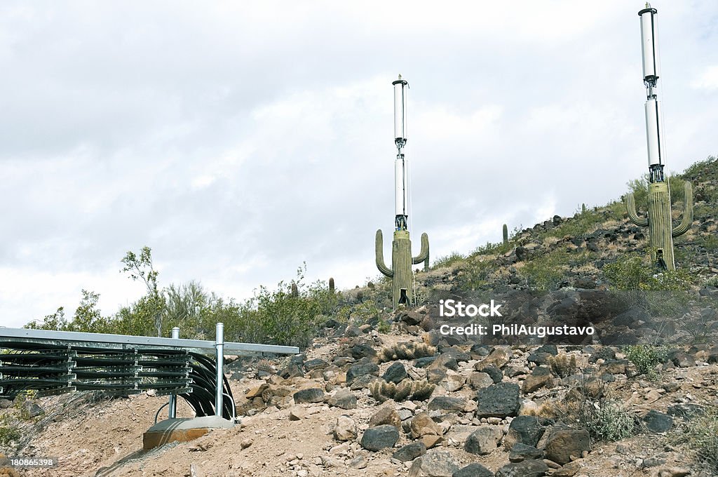 세포 타워수 위장된 애즈 cacti under construction in 휘닉스 아즈 - 로열티 프리 0명 스톡 사진