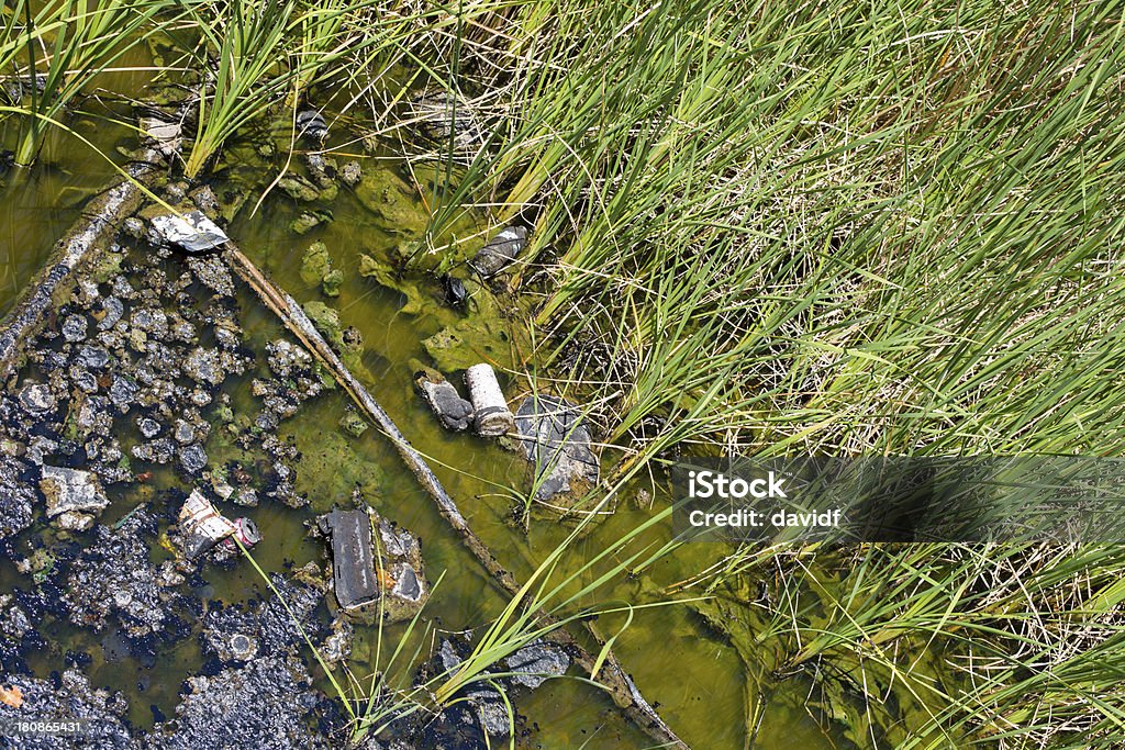 Água poluída Pond - Royalty-free Alcatrão Foto de stock