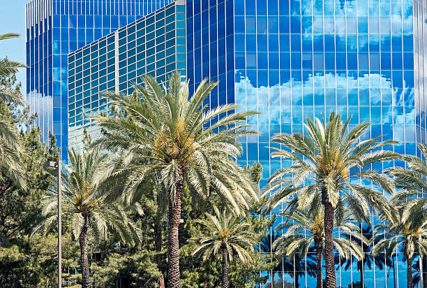 istock Modern office buildings and palm trees in Phoenix AZ 180865667