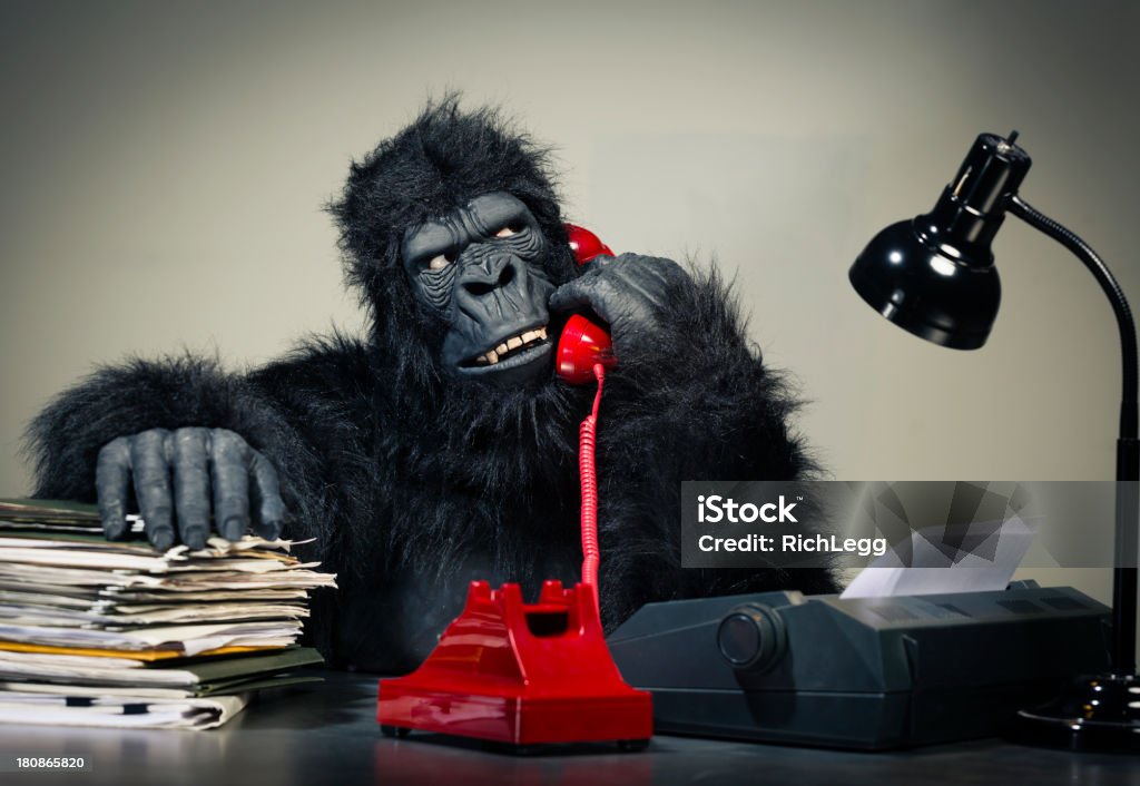 Uomo d'affari Gorilla - Foto stock royalty-free di Completo
