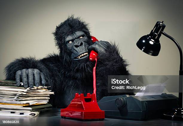 Uomo Daffari Gorilla - Fotografie stock e altre immagini di Completo - Completo, Humour, Mascotte