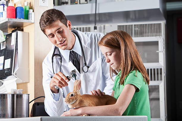 istock Girl taking pet rabbit to vet 180866613