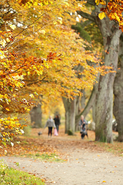 istock Autumn and people 180866828