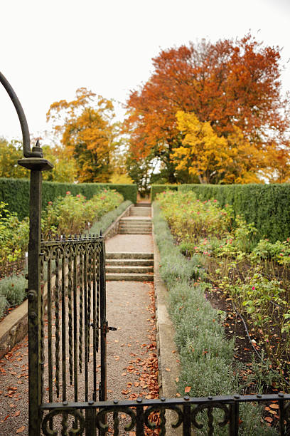 istock Pathway in Autumn garden 180866858