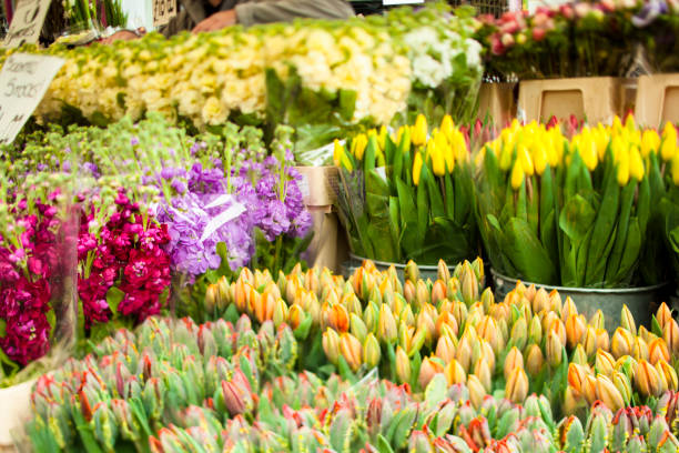 Columbia Road Market, East End