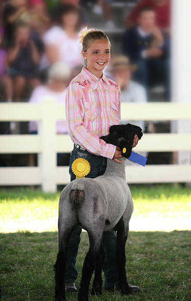 istock Showing at a County Fair 180867594