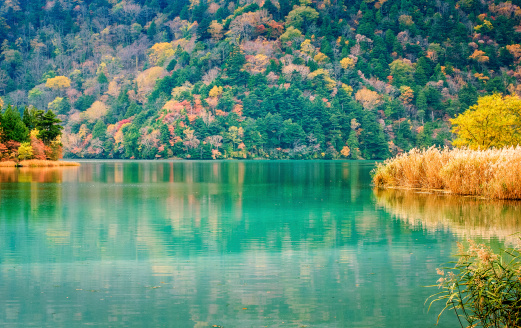 View on the beautiful lake of Yunoko and reflection in autumn. The lake is fed by sulphur hot springs giving him a magic green color.
