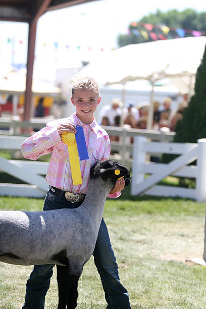 istock Showing at a County Fair 180868439
