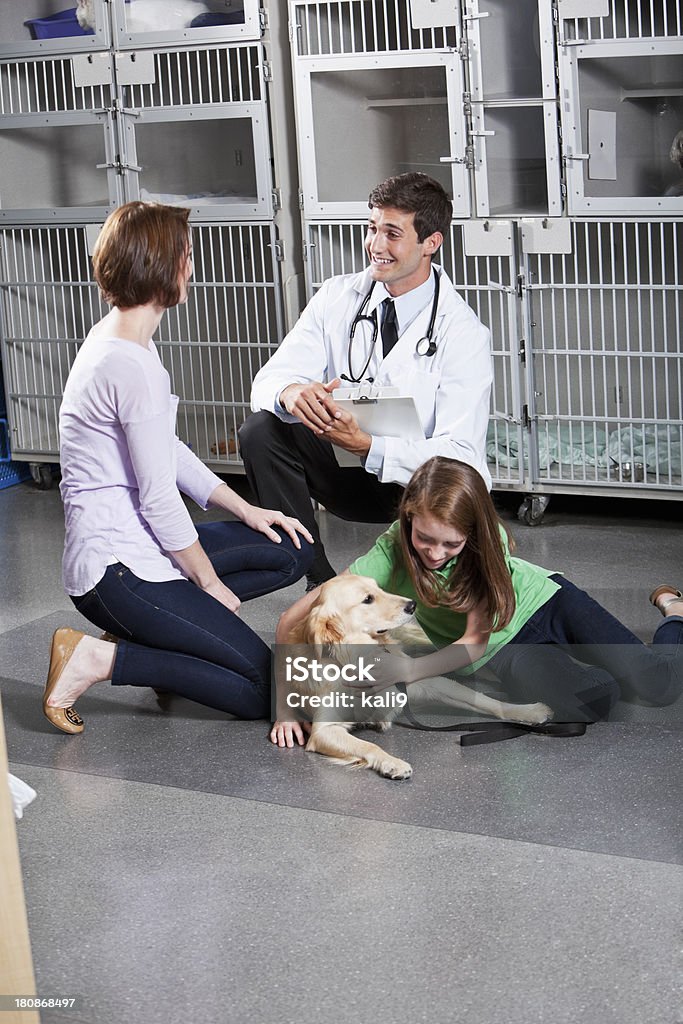 Tomar perro al veterinario - Foto de stock de Arrodillarse libre de derechos