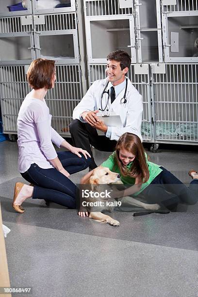 Tomar Perro Al Veterinario Foto de stock y más banco de imágenes de Arrodillarse - Arrodillarse, Paciente, 10-11 años