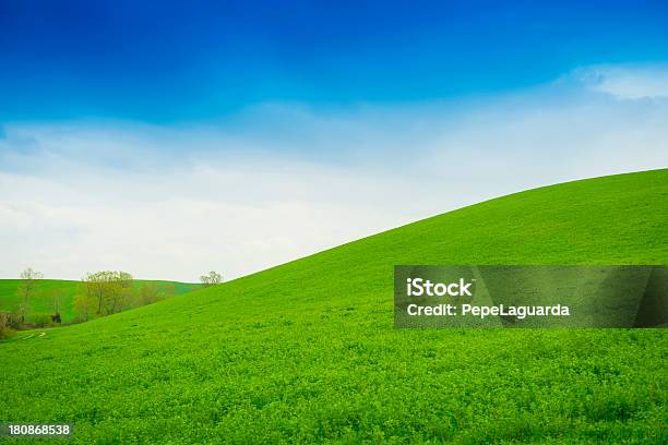Idílico Toscana Itália Campos - Fotografias de stock e mais imagens de Agricultura - Agricultura, Ajardinado, Ao Ar Livre