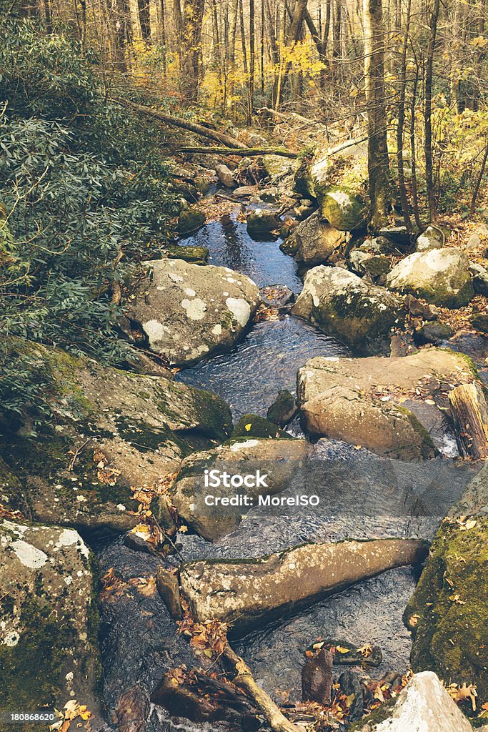 Canal em floresta - Foto de stock de Appalachia royalty-free