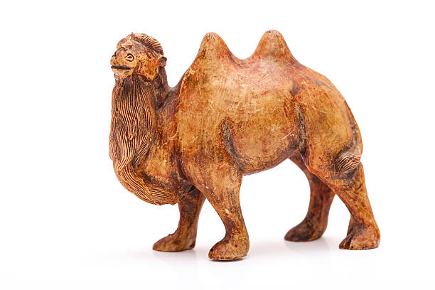 istock wooden camel on white background 180868634
