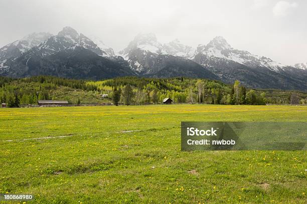 Cabina Nel Prato Con Fiori Selvatici Grand Teton Montagne Sullo Sfondo - Fotografie stock e altre immagini di Ambientazione esterna