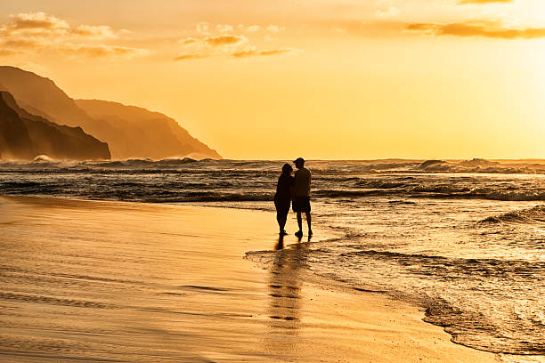 istock Couple Silhouette on Hawaiian Beach 180869104