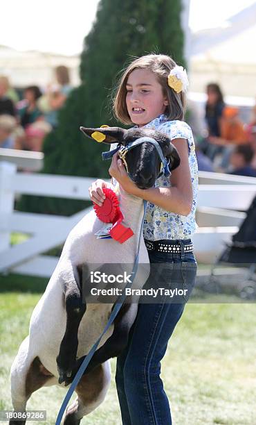 Muestra En Una Feria Del Condado De Foto de stock y más banco de imágenes de 4-H - 4-H, Actuación - Representación, Agarrar