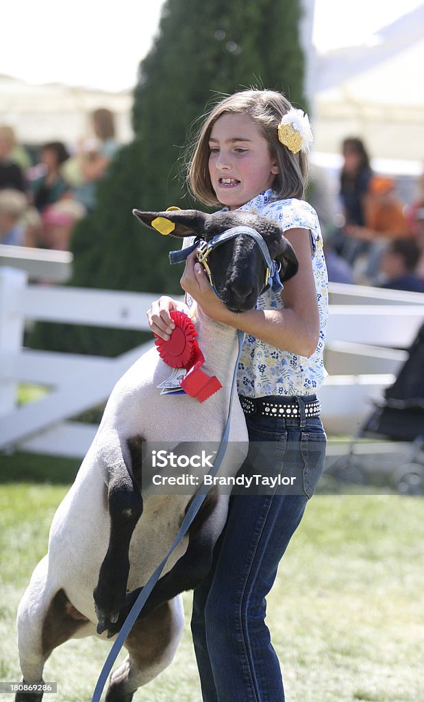 Wyświetlanie w County Fair - Zbiór zdjęć royalty-free (4h - Organizacja)