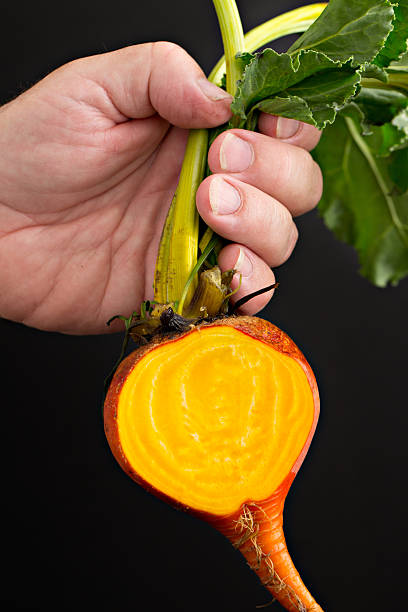istock Sliced Golden Beet 180869485