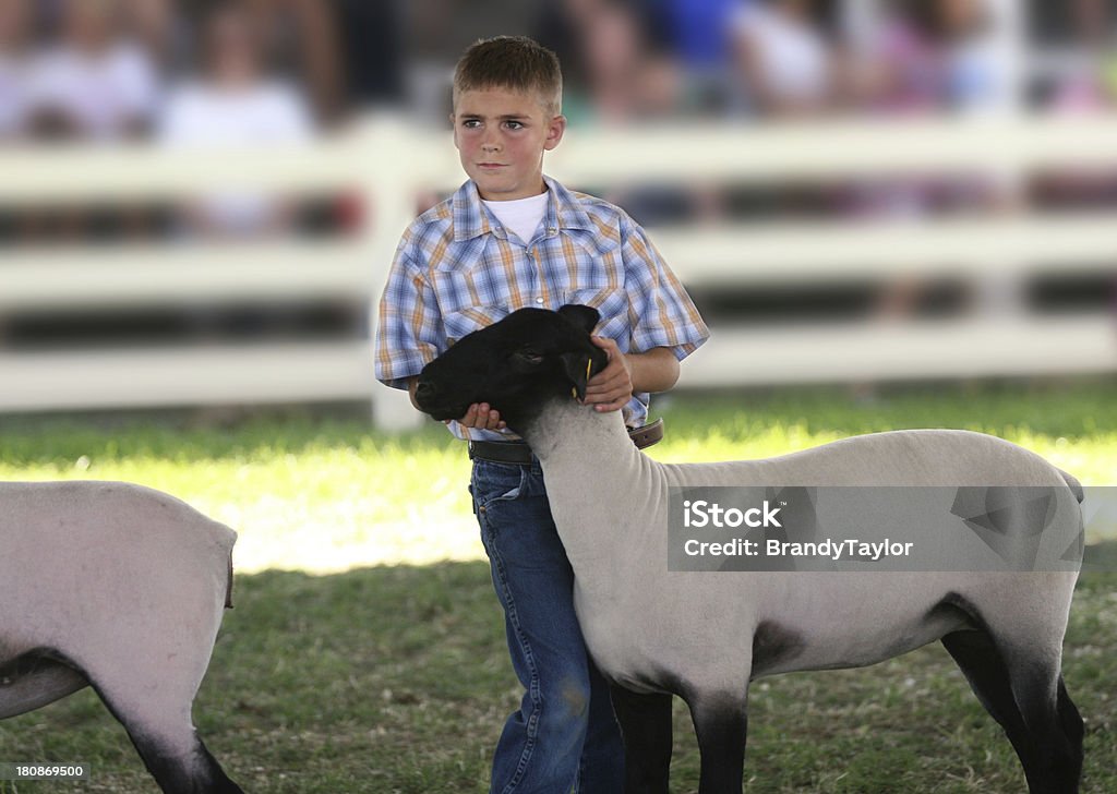 Zeigt in einem County Fair - Lizenzfrei Jungen Stock-Foto