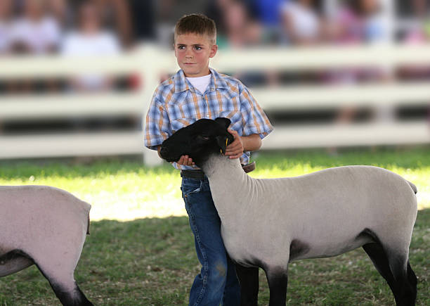 istock Showing at a County Fair 180869500