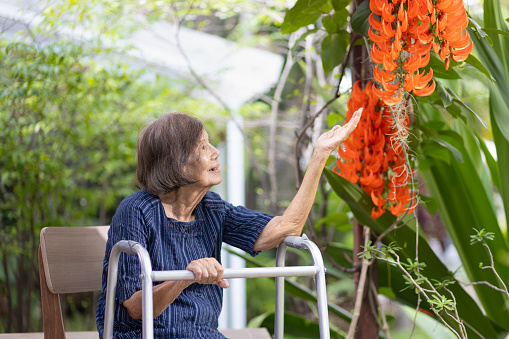 Smiling elderly woman in garden. Happy senior woman sitting on terrace with red jade vine flowers at home.