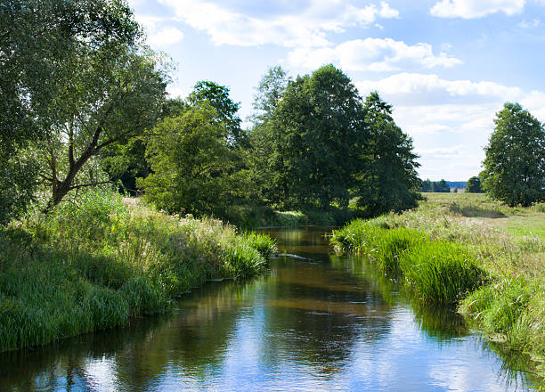 istock Little river is in the forest 180872269