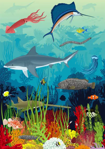 Vector illustration of Vector underwater coral reef with animals, seamless pattern. Undersea bottom texture