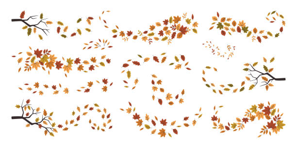 美しい紅葉の森の庭の葉の渦巻きは季節の抽象的な装飾セットを分離しました - autumn leaf frame decoration点のイラスト素材／クリップアート素材／マンガ素材／アイコン素材
