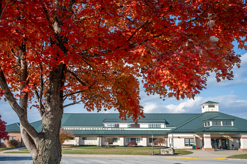 Gap, USA - November 11, 2023. Maple tree in front of Salisbury Elementary School, Lancaster County, Pennsylvania, USA
