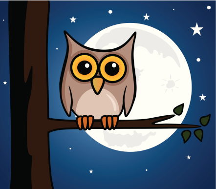 cute owl with shiny moon