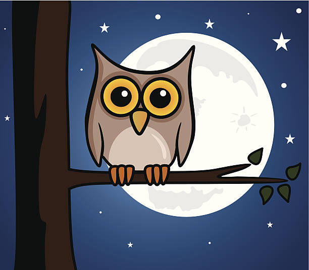 Cartoon Owl Stock Illustration - Download Image Now - Owl, Night, Animal -  iStock