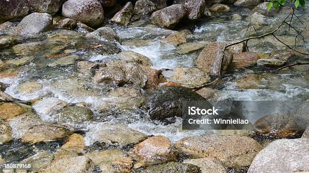 Piękne Stream - zdjęcia stockowe i więcej obrazów Bez ludzi - Bez ludzi, Drzewo, Fotografika