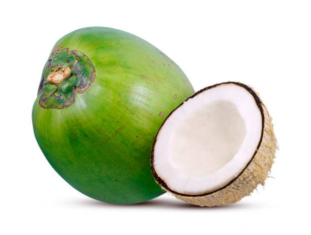 istock Coconut palm isolated on white background 1808811257