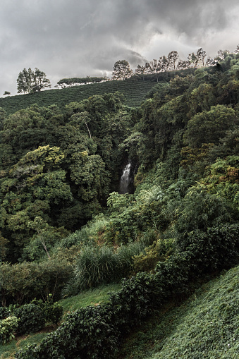 Vertical shot of waterfall surrounded by lush vegetation on a cloudy winter day in Costa Rica