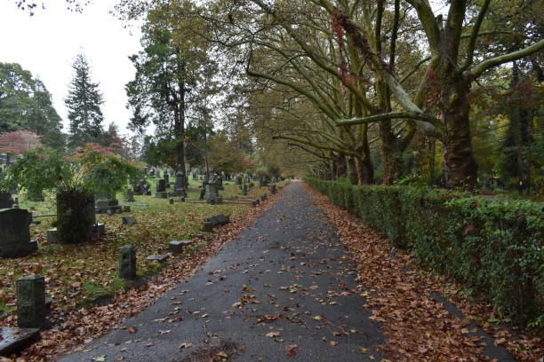 Tree Lined Path through Sleepy Hollow Cemetery on a Rainy Fall Day, NY