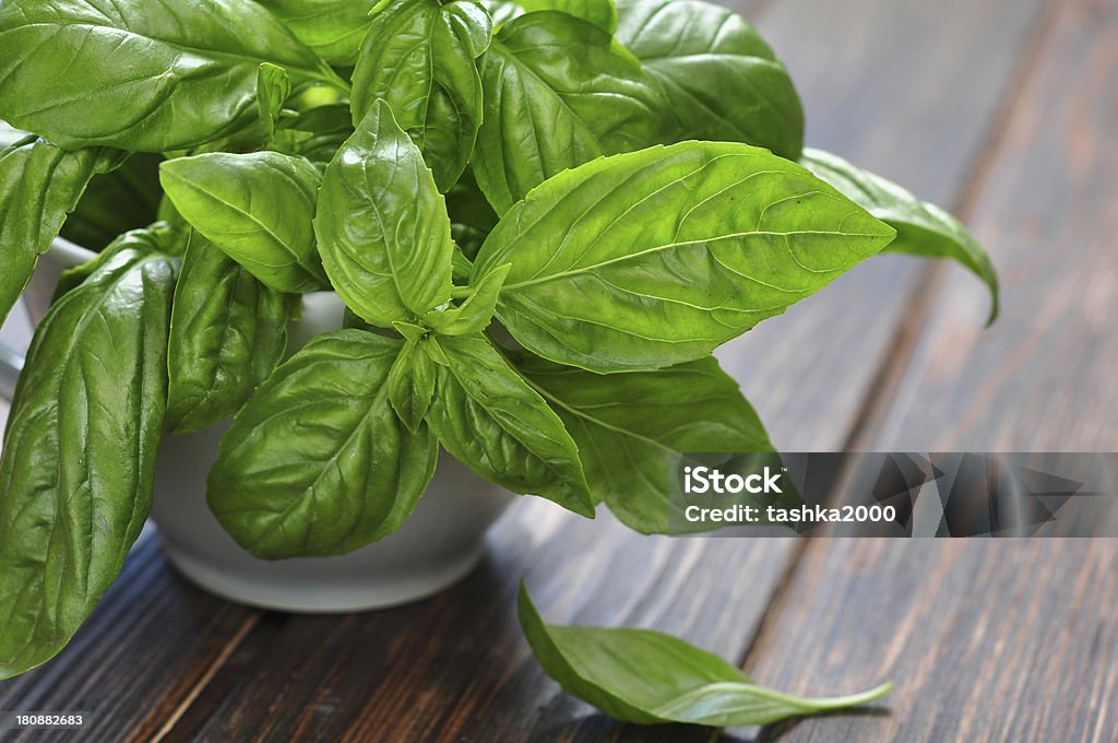 fresh green basil fresh green basil on a wooden table closeup Basil Stock Photo