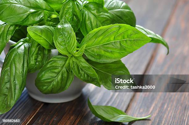 Fresh Green Basil Stock Photo - Download Image Now - Basil, Bunch, Extreme Close-Up