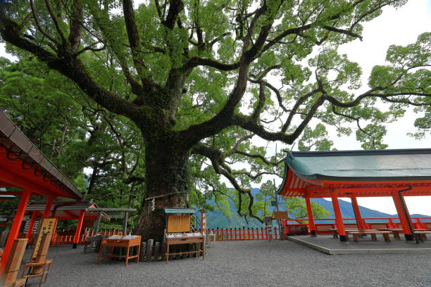 2023:kumano-nachi taisha grand shrine at nachisan, nachikatsuura, - higashimuro 뉴스 사진 이미지