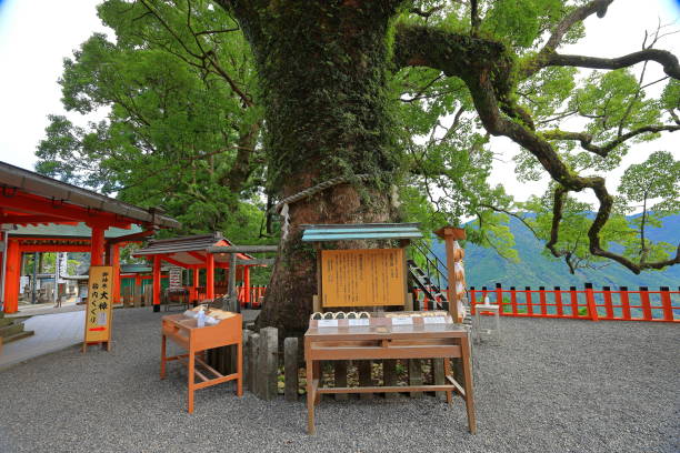 2023:kumano-nachi taisha grand shrine at nachisan, nachikatsuura, - higashimuro 뉴스 사진 이미지