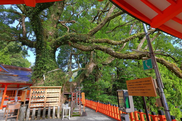 2023: grande santuário kumano-nachi taisha em nachisan, nachikatsuura, - higashimuro - fotografias e filmes do acervo