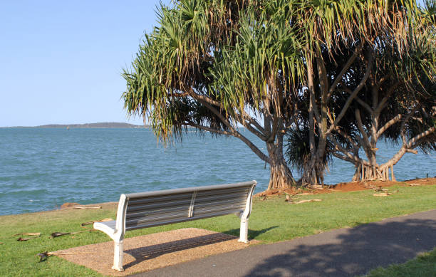istock Bench seat under a pandanus tree overlooking the ocean at Spinnaker Park in Gladstone, Queensland, Australia 1808854018