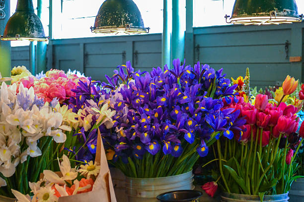 Fiori freschi in un mercato - foto stock