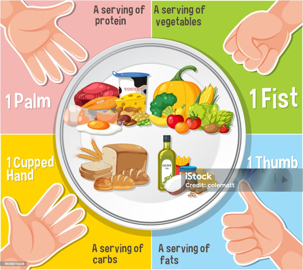 Nutrition Guide Using Hand Comparing Hand Portion Sizes For Healthy Eating Stock Illustration ...