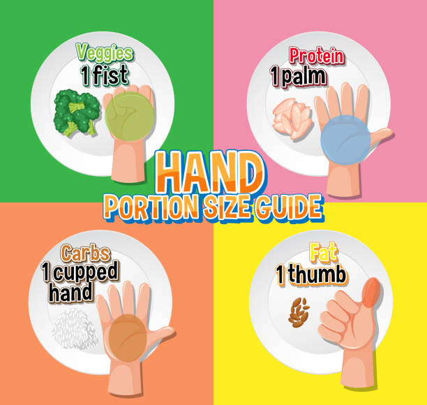 Portion Examples 30+ Hand Food Portion Guide Stock Illustrations, Royalty-Free Vector ...