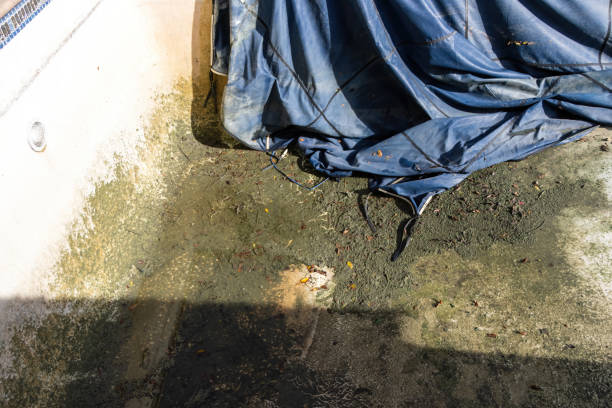 istock Green and dirty in ground pool during the cleaning process 1808886067