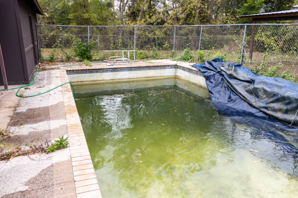 istock Green and dirty in ground pool during the cleaning process 1808887126