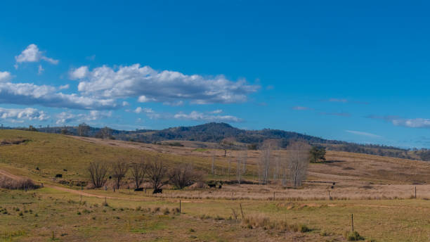 istock Road trippin through the dry countryside under a blue sky with clouds 1808888216