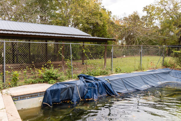 istock Green and dirty in ground pool during the cleaning process 1808888235