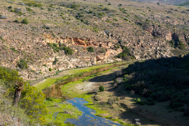 istock Gouritz River Bridge on the N2 highway in the Garden Route 1808895178