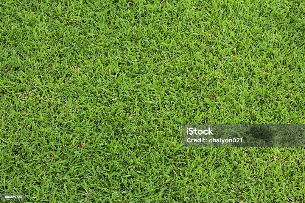 Fondo verde hierba - Foto de stock de Aire libre libre de derechos